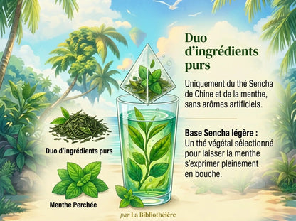 Infographie présentant les ingrédients du thé "Menthe Perchée" : un duo de thé vert Sencha de Chine et de feuilles de menthe sans arômes artificiels. Illustration de feuilles de thé vrac et de menthe fraîche sur un fond de paysage exotique avec un verre de thé glacé.